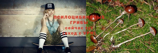 мдпв Верхний Тагил