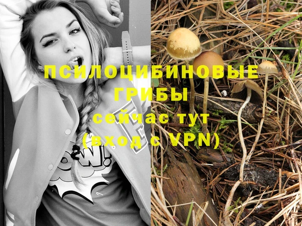 мдпв Верхний Тагил