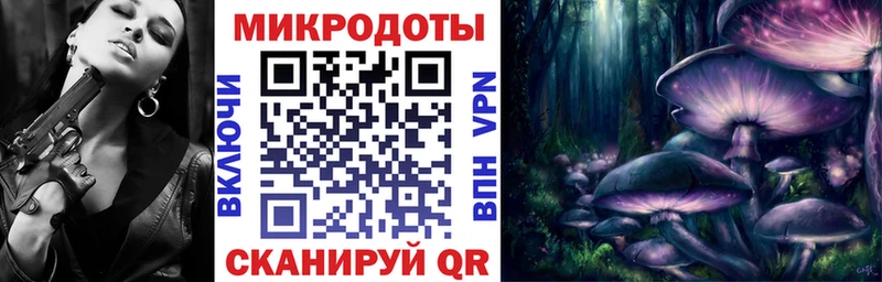 Галлюциногенные грибы прущие грибы  Емва 
