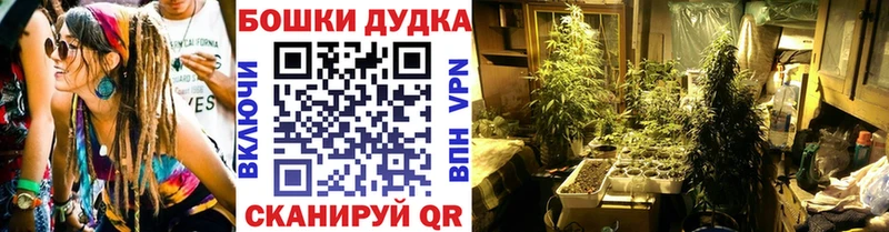 Бошки марихуана Amnesia Емва